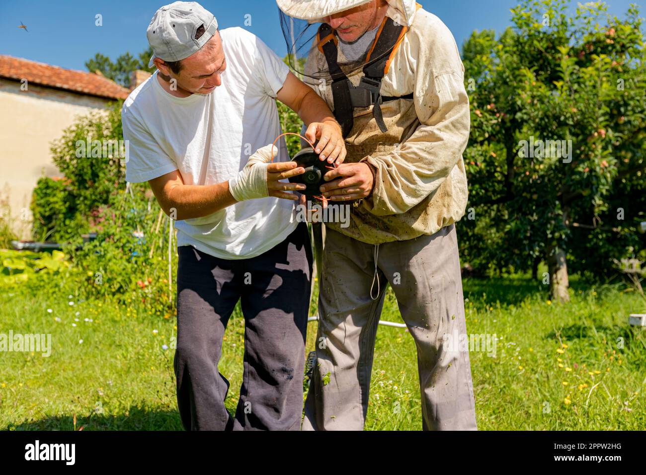 Ein Techniker mit verbandelten Handverletzungen repariert den Trimmer, stellt die Kopfspule des Trimmers ein und hilft seinem Freund im Schutzanzug beim Rasenmähen Stockfoto