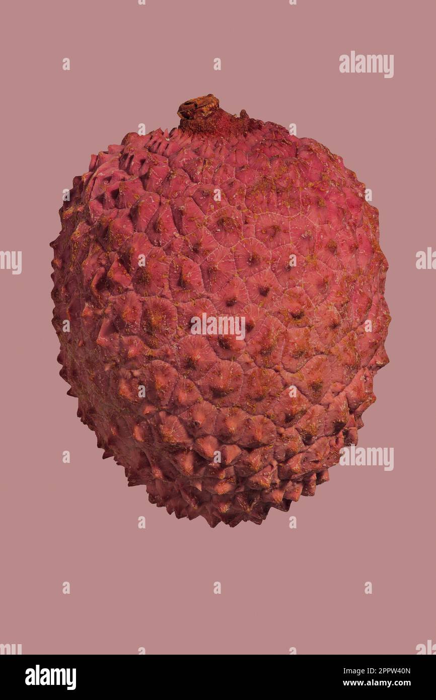 Nahaufnahme der strukturierten Details von roten Lychee-Früchten auf pinkfarbenem Hintergrund Stockfoto