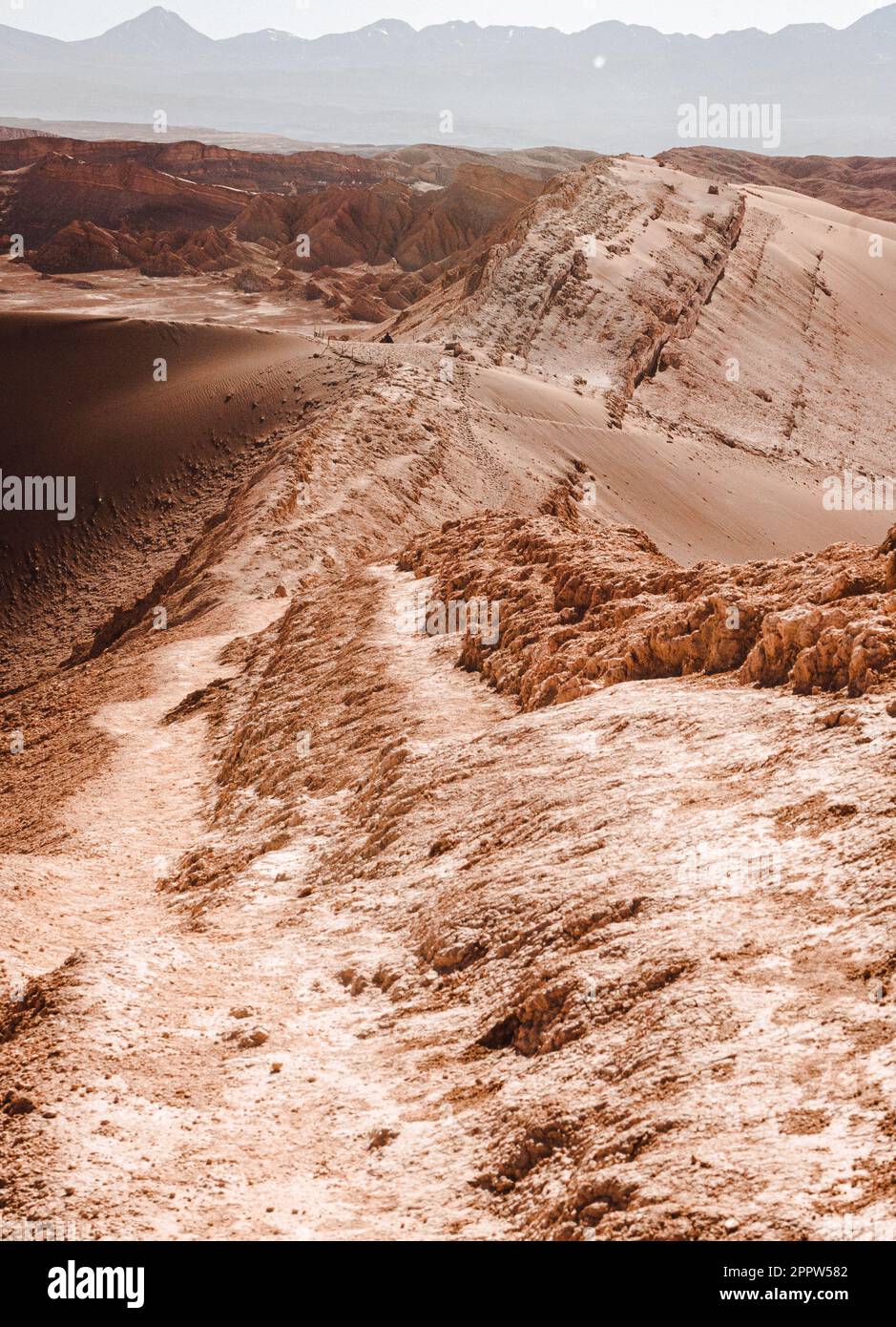 Eine weitläufige Wüstenlandschaft mit einem großen, zerklüfteten Felsbrocken, der aus dem Sand ragt und ein beeindruckendes Bild erzeugt Stockfoto