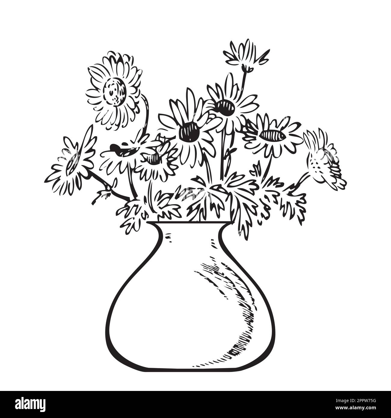 Handgezeichnetes Strauß-Chrysanthemum in Vase. Gravurskizze. Isolierte schwarze Linien auf weißem Hintergrund. Vektorabbildung, Grußkarte, Geburtstag, Branding-Design, Druck, Postkarte, Dekor, Hochzeit Stock Vektor