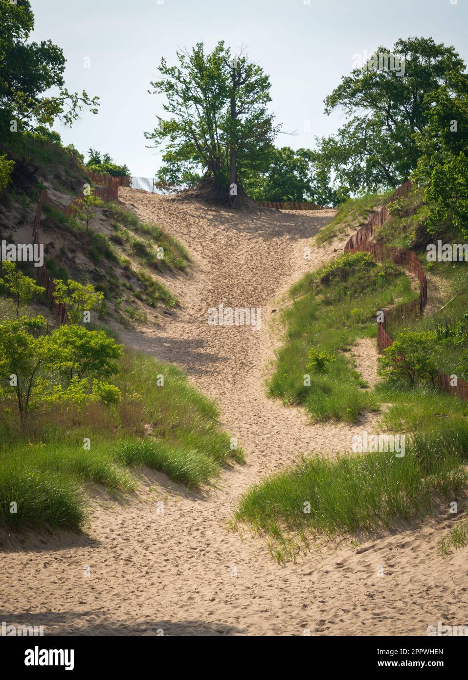 Indiana Dunes National Park am Lake Michigan Stockfoto