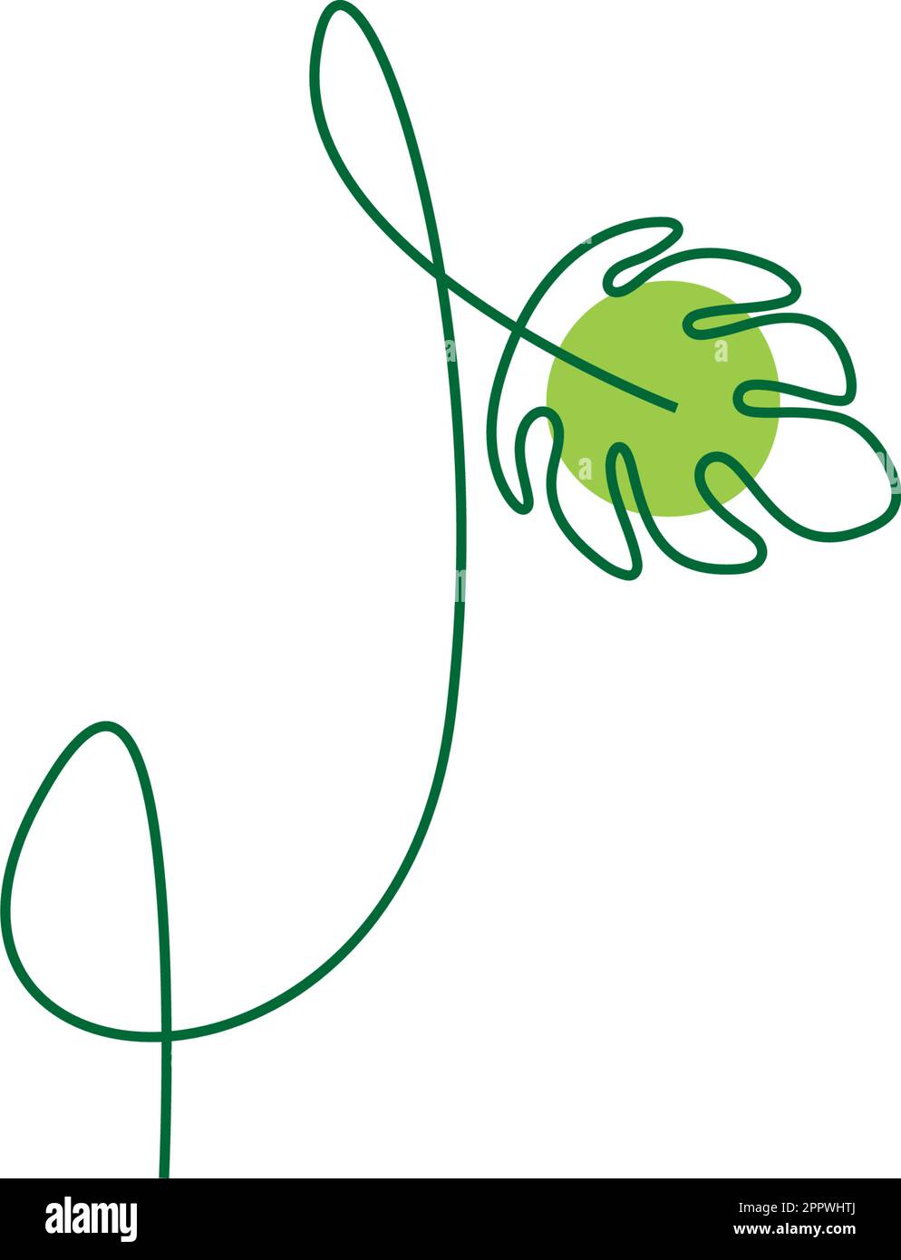 Monstera Anlage bilden Buchstaben Symbol Design Illustration Stock Vektor