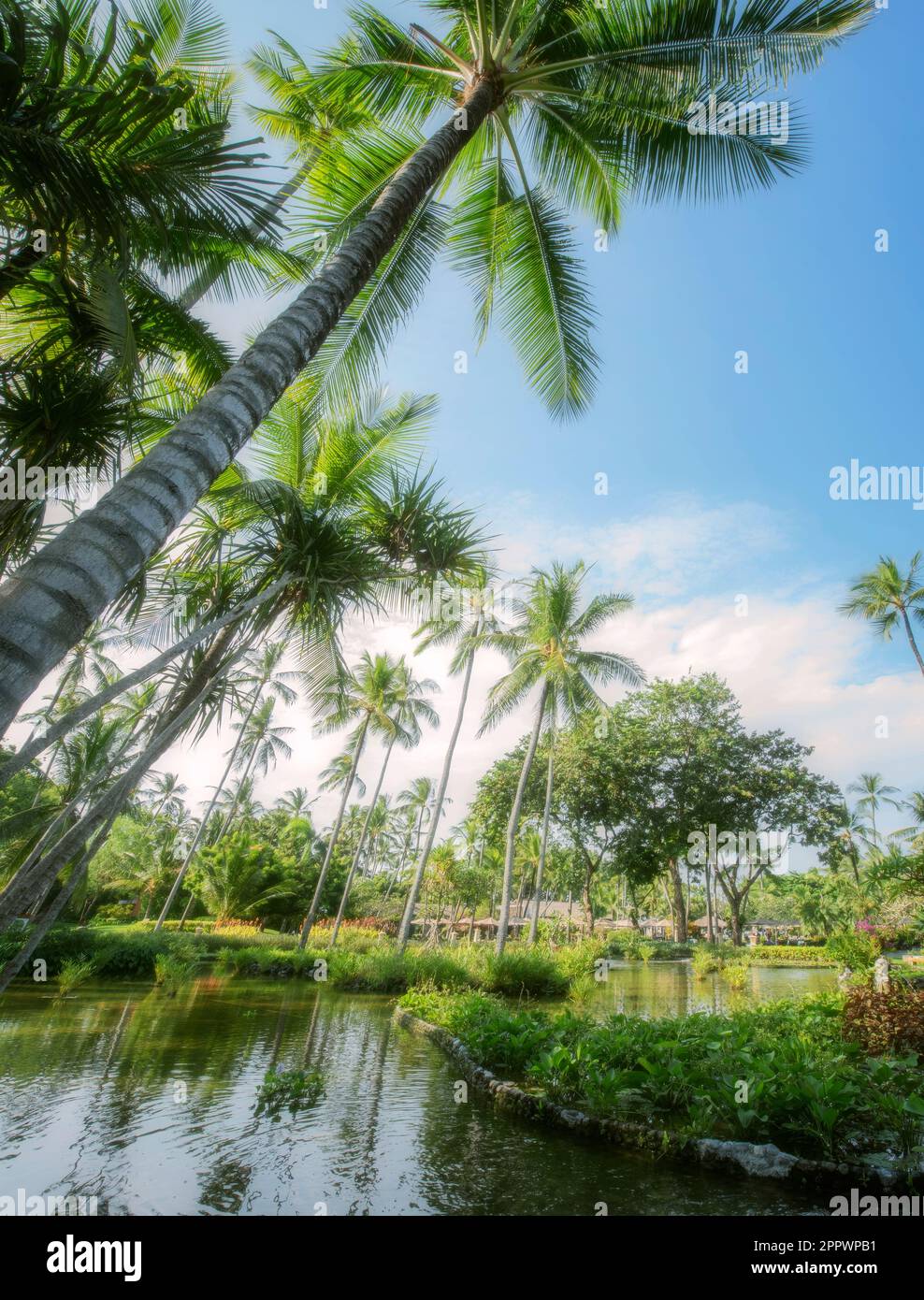 Ländliche Landschaft, Nusa Dua Beach, Bali, Indonesien Stockfoto
