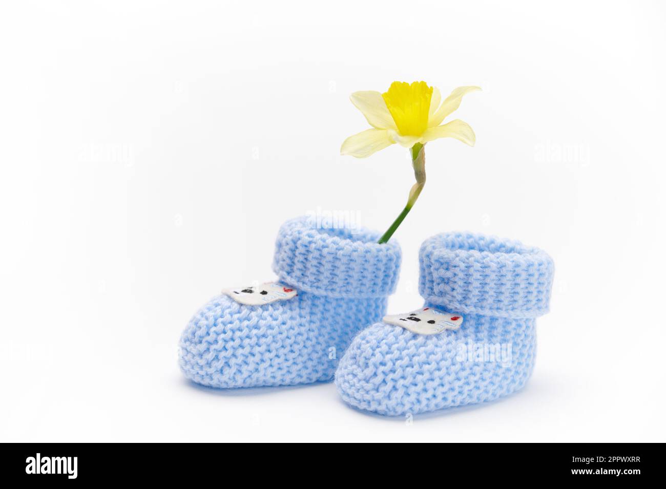 Ein Paar handgefertigte blaue gestrickte Babyschühchen und gelbe Narzissenblume, isoliert auf weißem Hintergrund. Neugeborenenbekleidung und -Mode. Ich erwarte ein Baby. Stockfoto