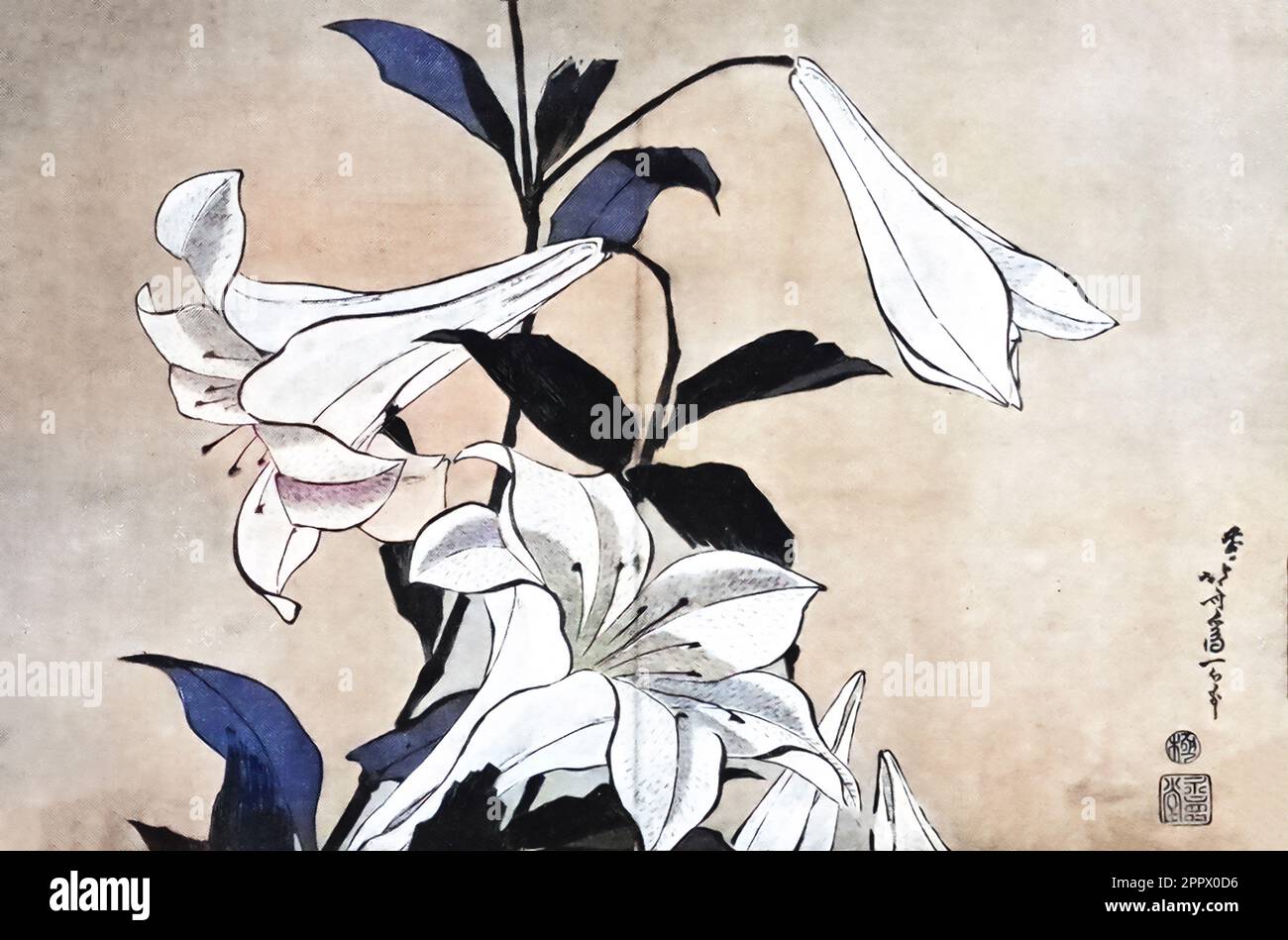 Katsushika Hokusai : Lilies antiker japanischer Farbdruck aus dem Buch " Eine Geschichte japanischer Farbdrucke " von Woldemar von Seidlitz, 1850-1922 Herausgeber London : Heinemann 1910 Stockfoto