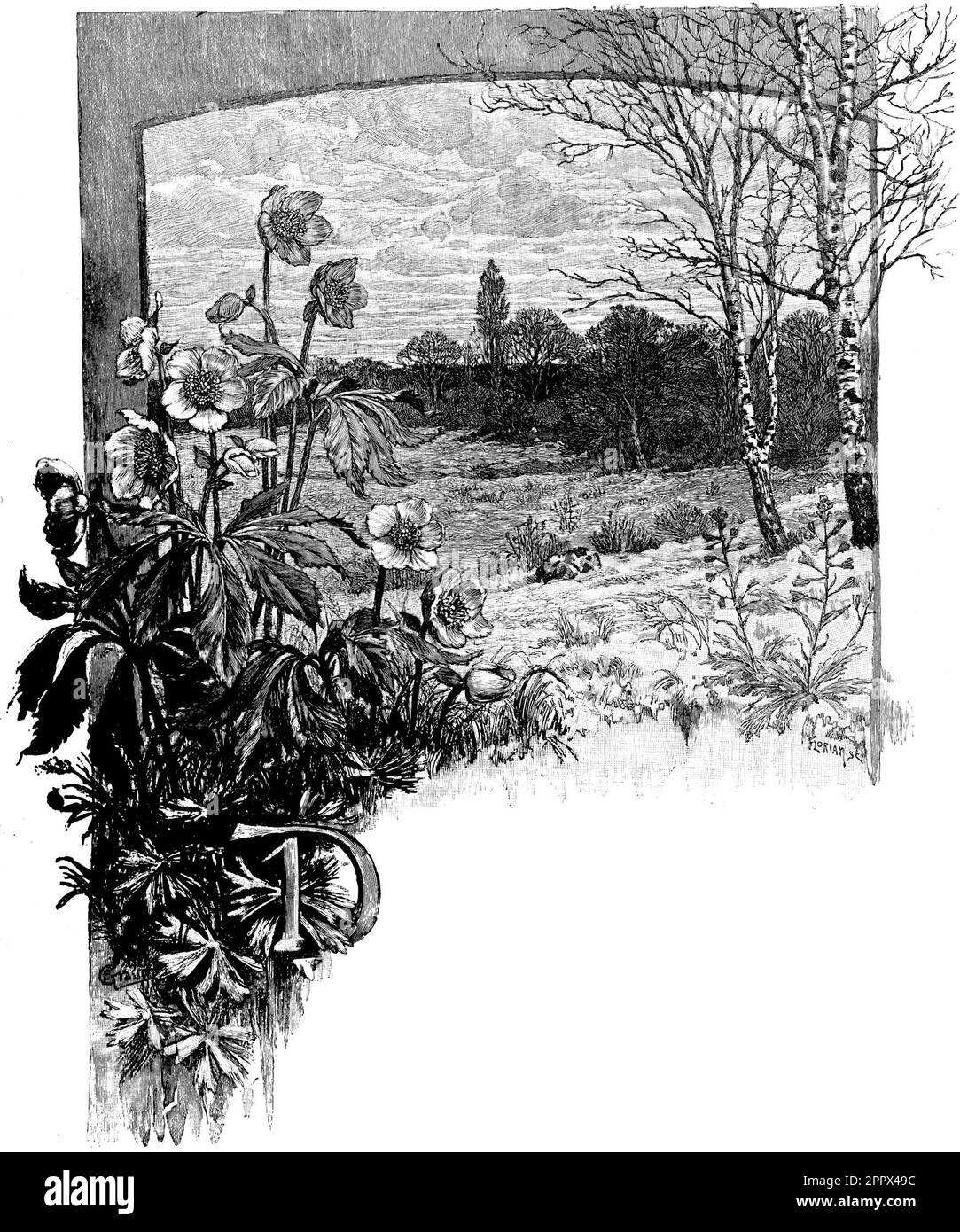 Landschaften Stockfoto