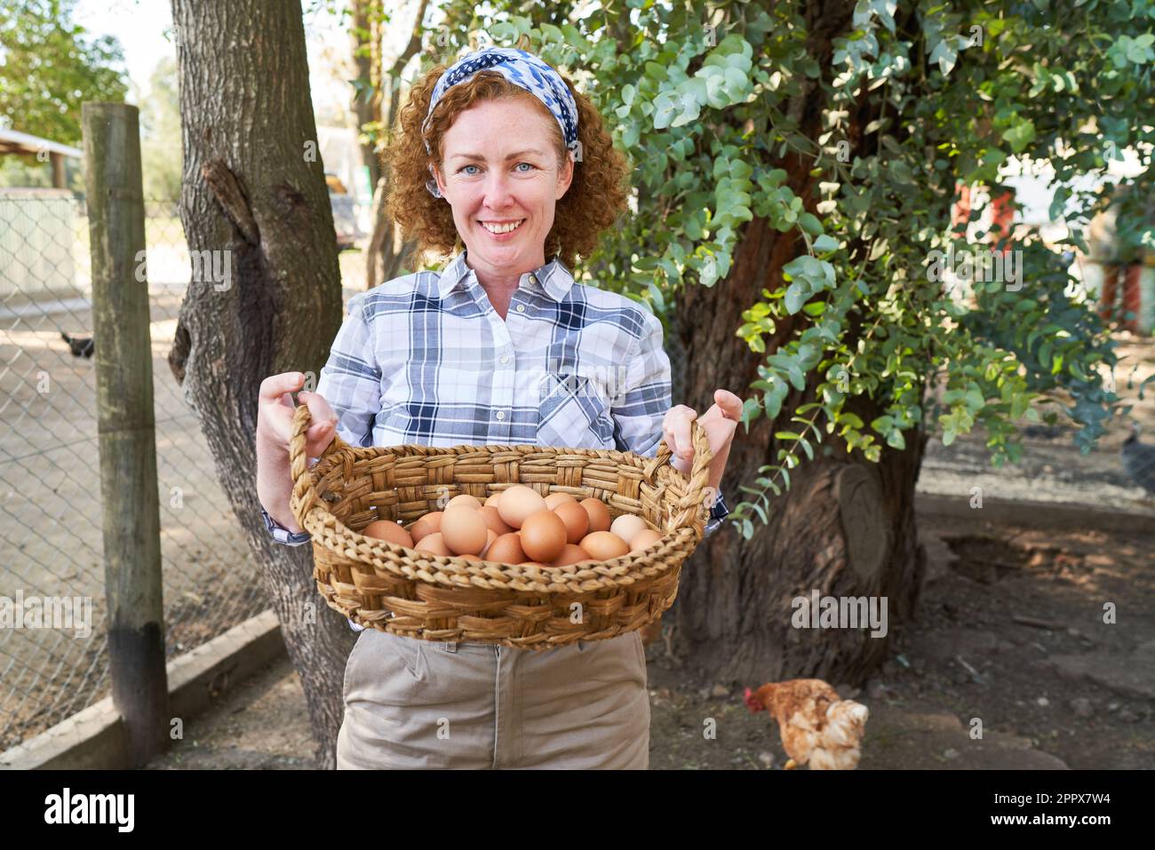 Porträt einer lächelnden reifen Landwirtin mit Weidenkorb und braunen Eiern in der Geflügelzucht Stockfoto