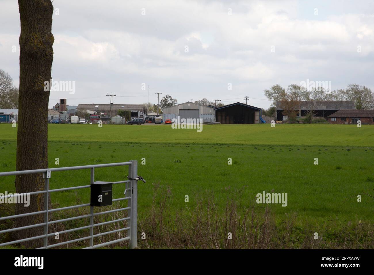 Ackerbau, landwirtschaftliche Flächen in der Nähe der Verbrennungsanlage von Rivenhall, Essex, England, Vereinigtes Königreich Stockfoto