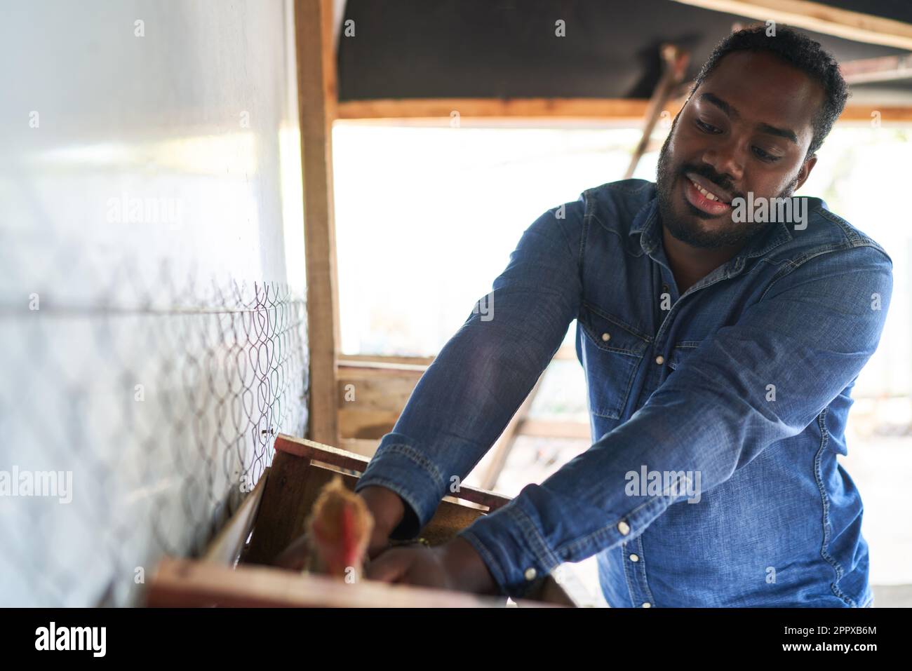 Junglandwirte, die Hühner im Stall halten, während sie in der Geflügelzucht arbeiten Stockfoto