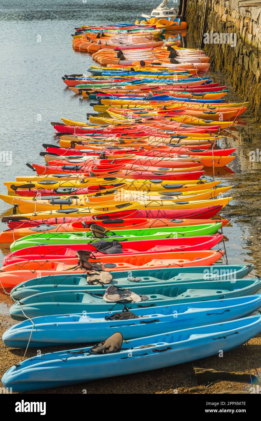 Eine Reihe farbenfroher Kajaks, die an der Anlegestelle im Hafen von Rockport, Cape Ann, Essex County, Massachusetts, New England, Vereinigte Staaten Stockfoto
