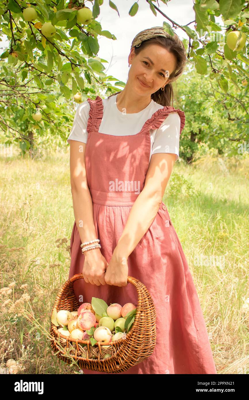 Eine junge, lächelnde weiße Frau in einem rosa Kleid, mit losen Haaren, unter einem Schal versteckt, sammelt Äpfel in einem Korb in einem Apfelgarten. Stockfoto