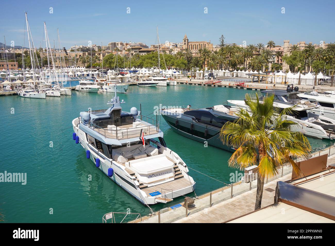 Palma Spanien. Hafen von Palma de Mallorca mit Yachten und Segelbooten, Balearen, Mallorca, Spanien. Stockfoto