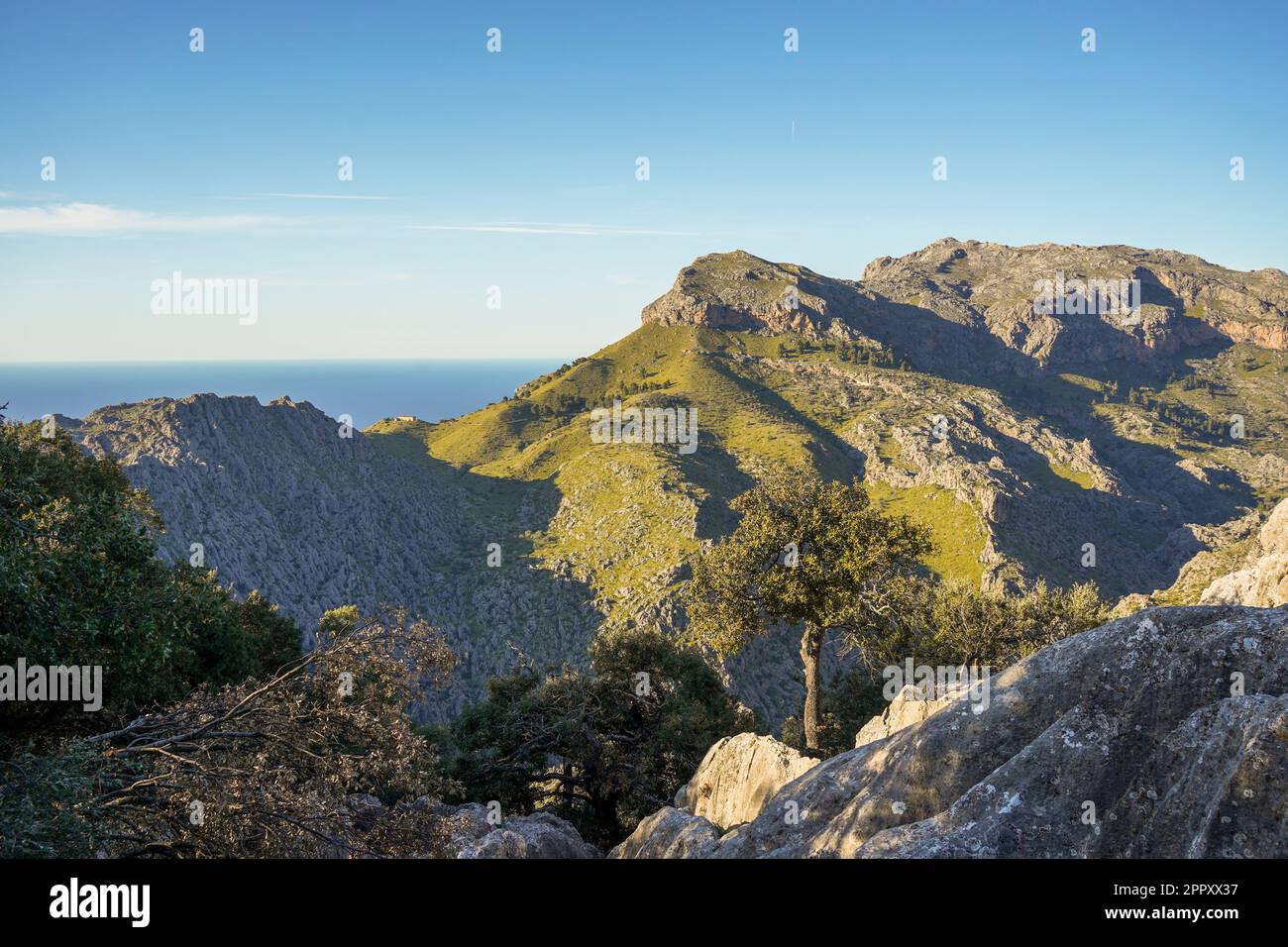 Tramuntana Mallorca. Blick auf das Tramuntana-Gebirge von Mirador de s'Entreforc, Sierra de Tramontana in Mallorca, Spanien. Stockfoto