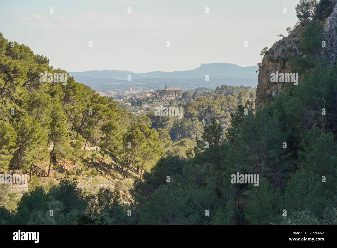 Tramuntana Mallorca. Blick auf das Tramuntana-Gebirge, Sierra de Tramontana in Mallorca, Spanien. Stockfoto