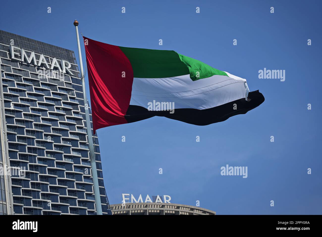 Flagge der Vereinigten Arabischen Emirate. Stockfoto