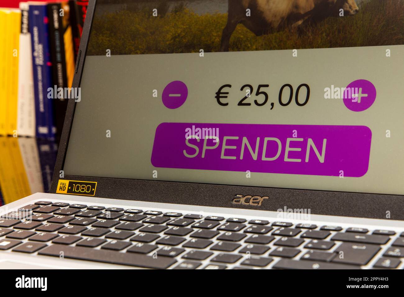Spendensymbol: Aufruf für Spenden auf einer (virtuellen) Homepage Stockfoto
