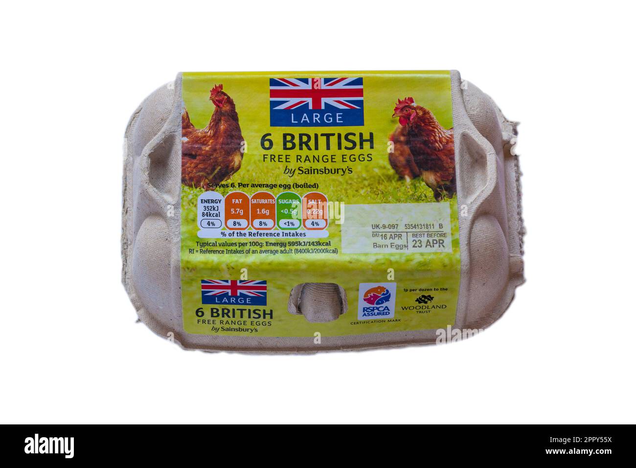 Umkarton mit 6 großen britischen Eiern aus der Freilandhaltung von Sainsbury's, isoliert auf weißem Hintergrund, verschlossen, Eierkarton Stockfoto