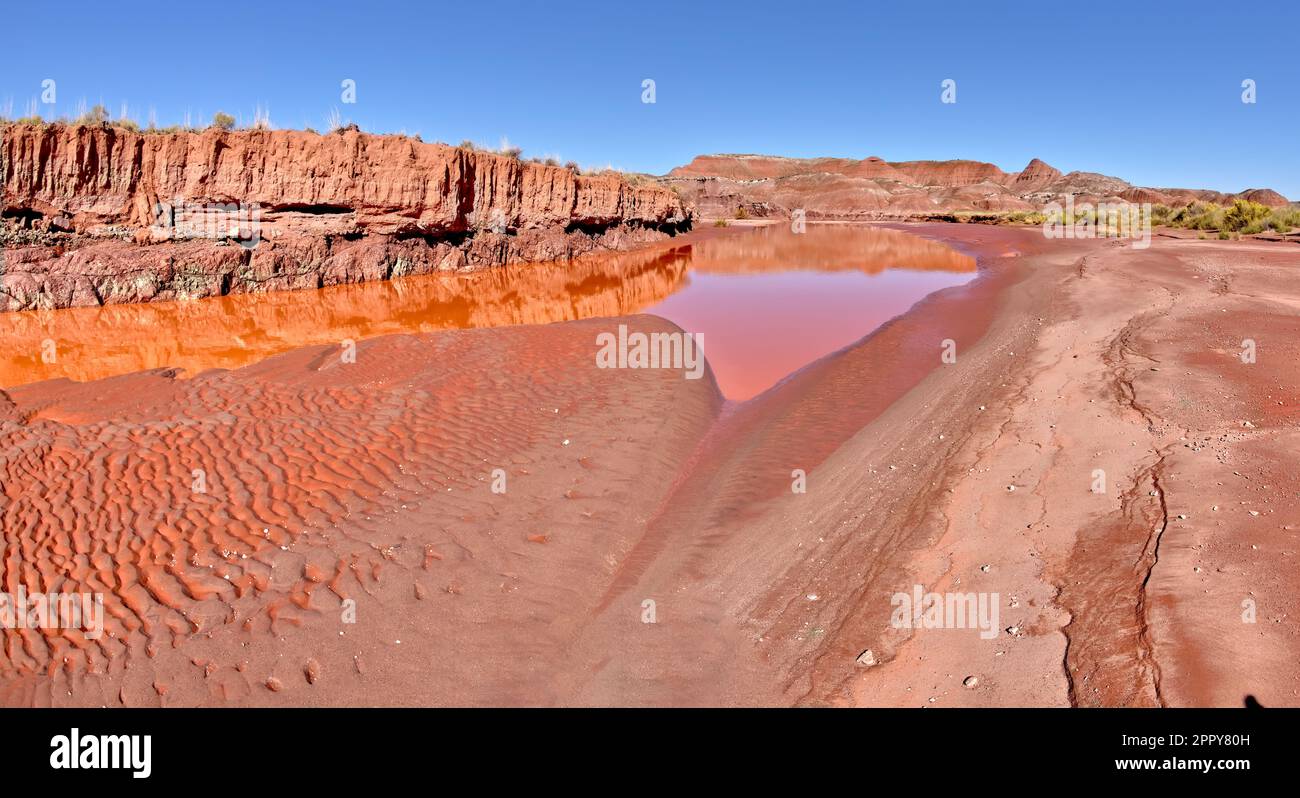 Das rote Wasser von Lithodendron Wash im Petrified Forest National Park, Arizona. Die rote Farbe stammt aus dem Bentonit-Ton in den umliegenden Hügeln. Stockfoto