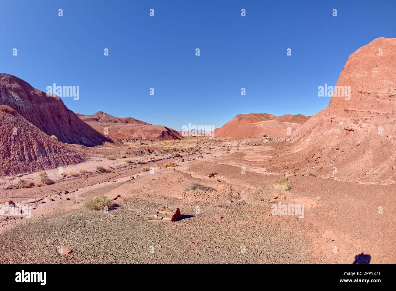 Blick vom Tiponi Canyon im Petrified Forest National Park Arizona. Der Berg in der Ferne ist Pilot Rock. Stockfoto