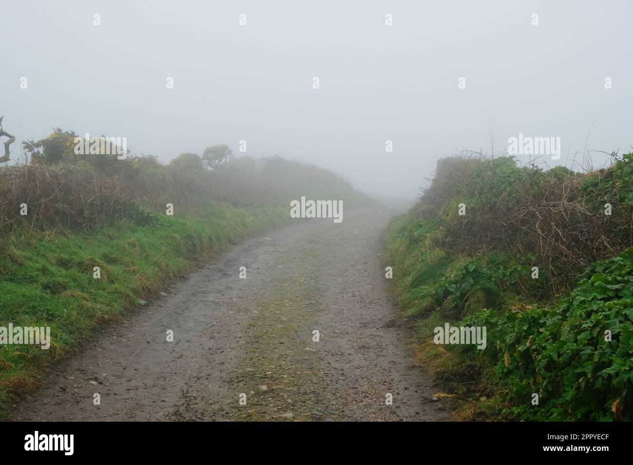 Ein verlassenes, von Nebel ummanteltes County, Cornwall, Großbritannien, John Gollop Stockfoto