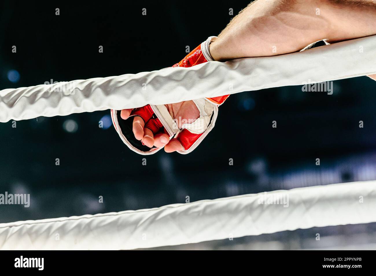Die Kampfhand in rotem Handschuh liegt auf dem weißen Seilring Stockfoto