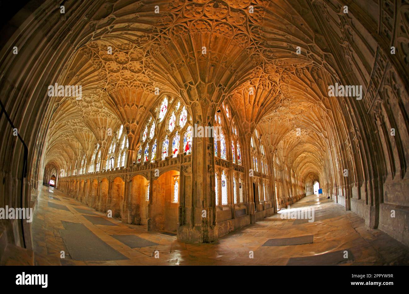 The Cloisters of Gloucester Cathedral, Gloucestershire, Großbritannien Stockfoto