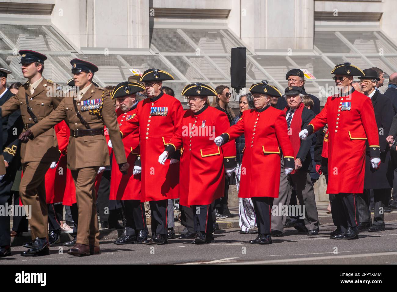 London UK. 25. April 2023 Chelsea-Rentner marschieren mit Kriegsveteranen Kriegsveteranen, Verteidigungspersonal und Würdenträger am Ende des Anzac-Tages-Gottesdienstes am Zenotaph. Der Anzac Day erinnert an das australische und neuseeländische Armeekorps (ANZAC), das am 25. April 1915 während des Ersten Weltkriegs an den Küsten von Gallipoli gelandet ist Kredit: amer Ghazzal/Alamy Live News Stockfoto