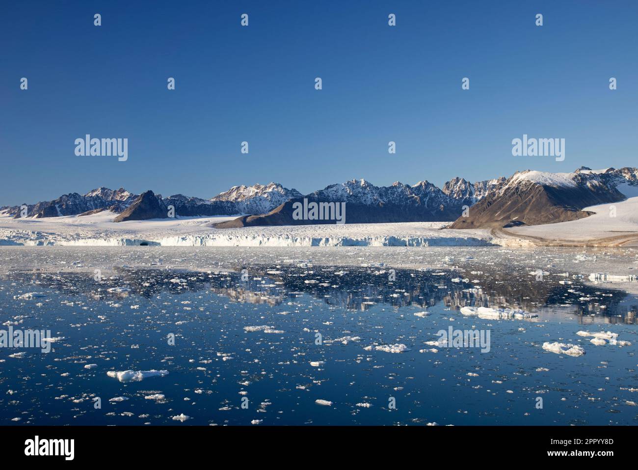 Der Gletscher Lilliehöökbreen zieht sich im Sommer in den Lilliehöök Fjord / Lilliehöökfjorden, Zweig von Krossfjorden in Albert I Land, Spitsbergen / Svalbard Stockfoto