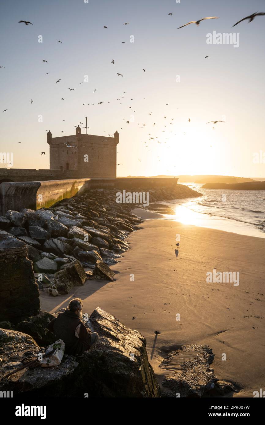 Möwen fliegen bei Sonnenuntergang über die Stadtmauern des Hafens von Essaouira. Stockfoto