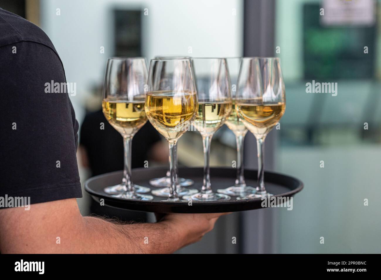 Ein Kellner hielt ein Tablett mit Gläsern Weißwein. Stockfoto