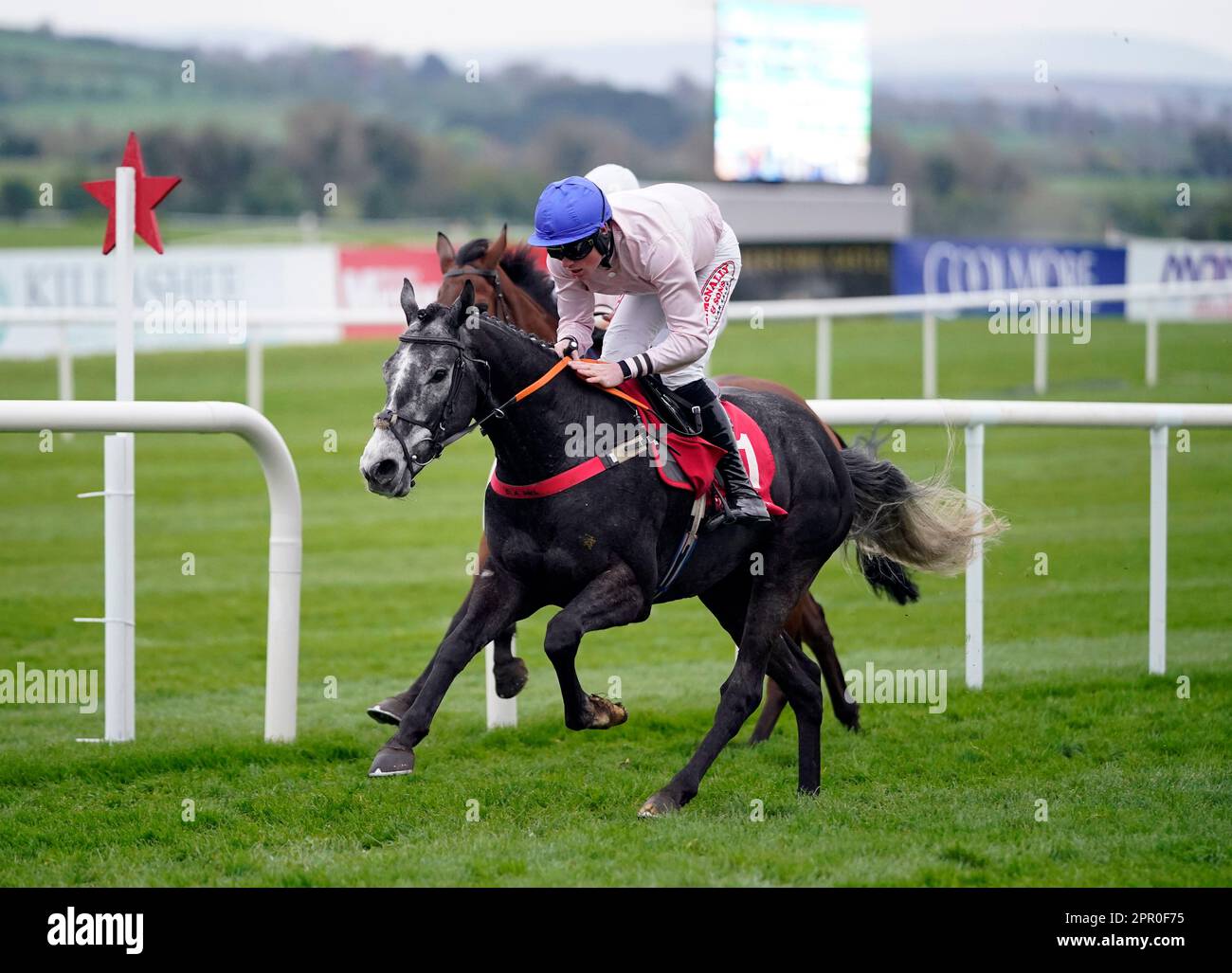 Angelo Dundee fuhr von Dara McGill auf dem Weg, die Oak Lodge Landscape Flat zu gewinnen