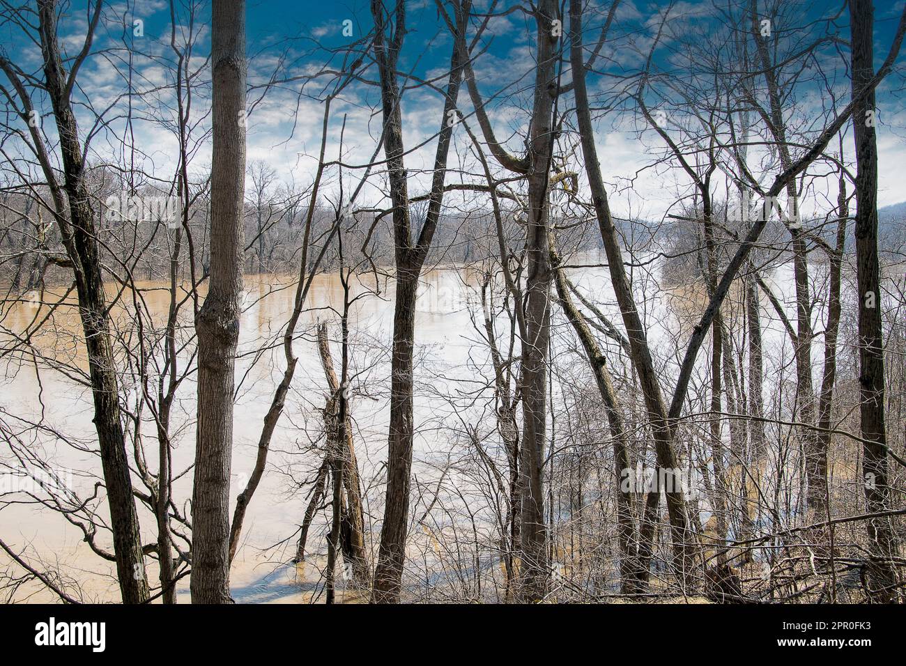 Die Überschwemmung des Grand River in Michigan in den Wäldern im Frühling Stockfoto