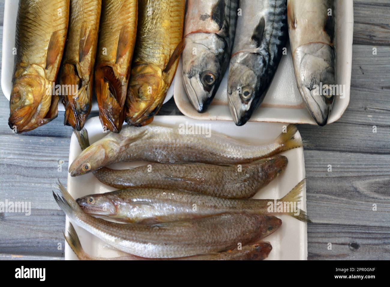 Verschiedene Arten roher Makrelenfische, Saurida undosquamis, Eidechsenbarsch, großmaßstäbliche Grinsen- oder Larscale-Saurenfische und geräucherte Salz Stockfoto