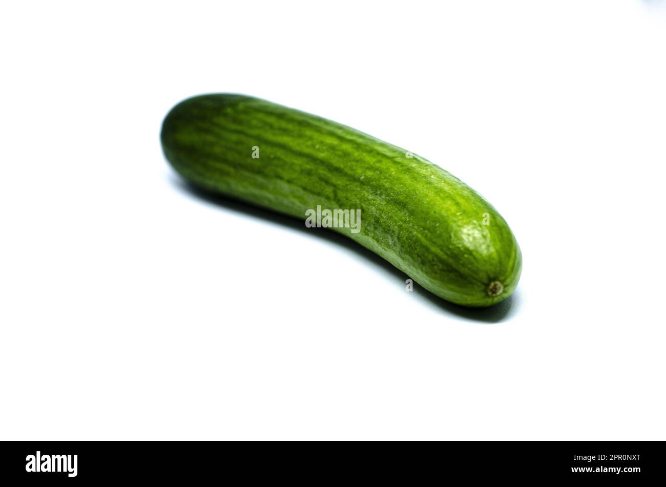 Frische Gurke auf weißem Hintergrund – Nahaufnahme Stockfoto