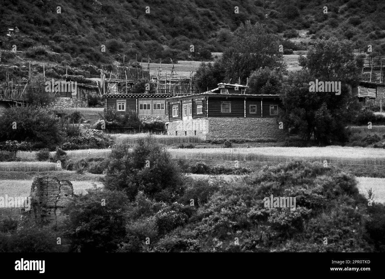 Die flachen Häuser variieren im dekorativen Design von Dorf zu Dorf - Kham (Osttibet), Sichuan Provinz, China Stockfoto