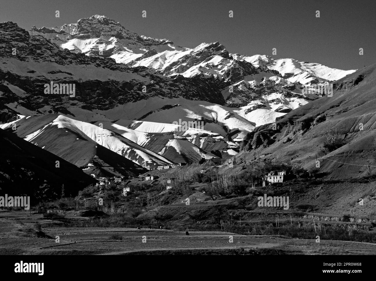 Das Dorf SHERGOL mit YAKS auf den brachliegenden Feldern befindet sich an der Seite eines HIMALAYA-Tals - LADAKH, INDIEN Stockfoto