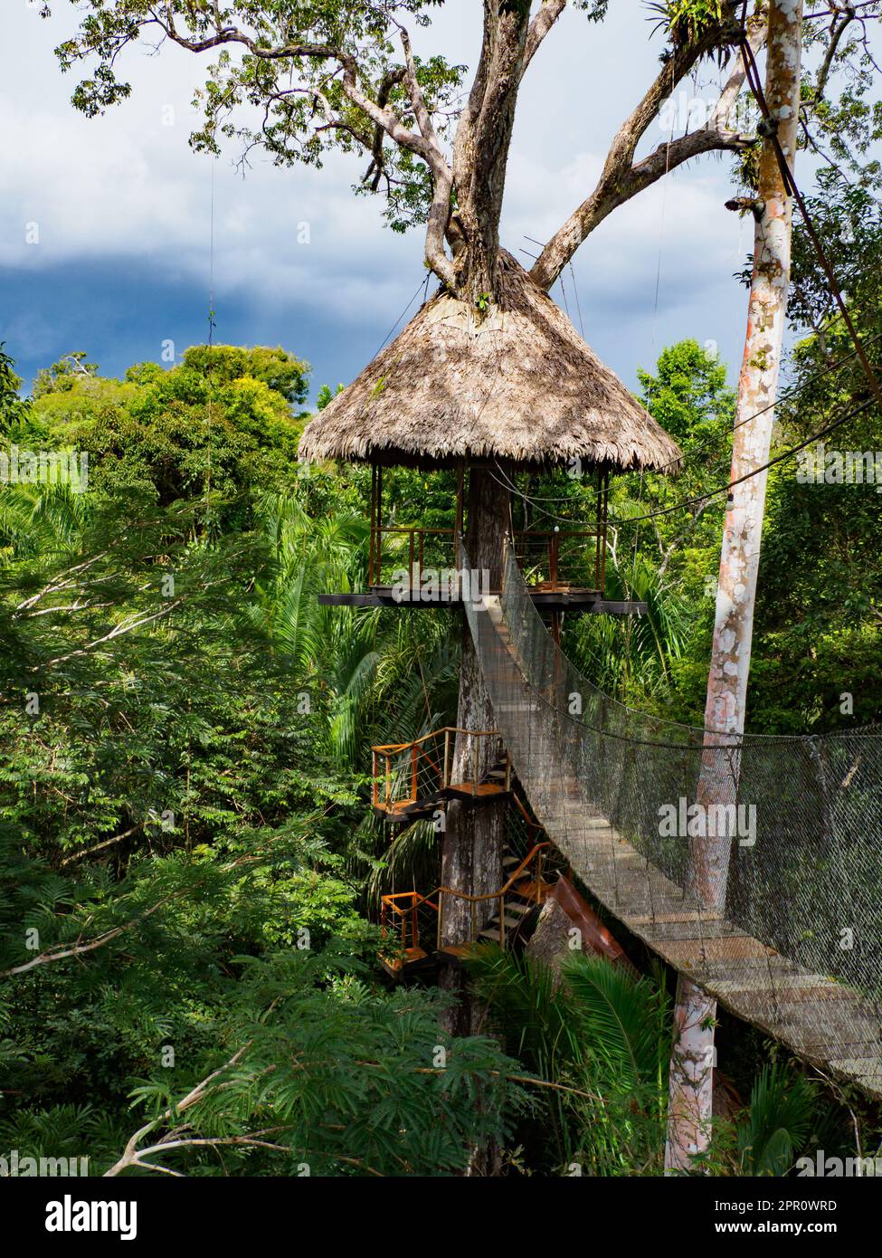Glamouröse Unterkunft im Regenwald des Amazonas. Holzhaus, Amazonas-Regenwald, Amazonien, Pacaya Samiria National Reserve, Peru, Südamerika. Stockfoto