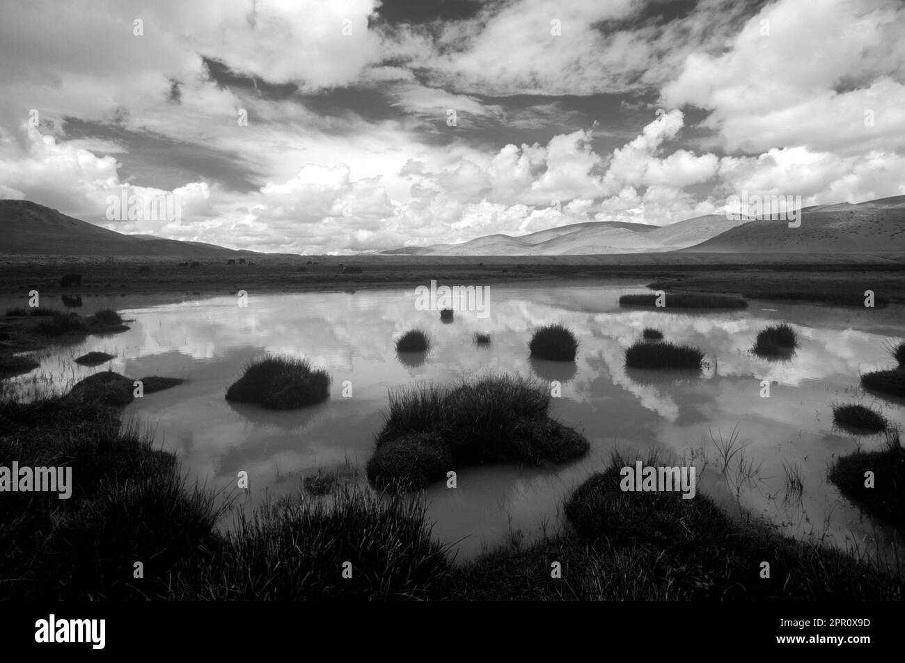 Wolken spiegeln sich in Stream als YAKS auf dem tibetischen Plateau Weiden - südliche Route zu Mount Kailash, Tibet Stockfoto