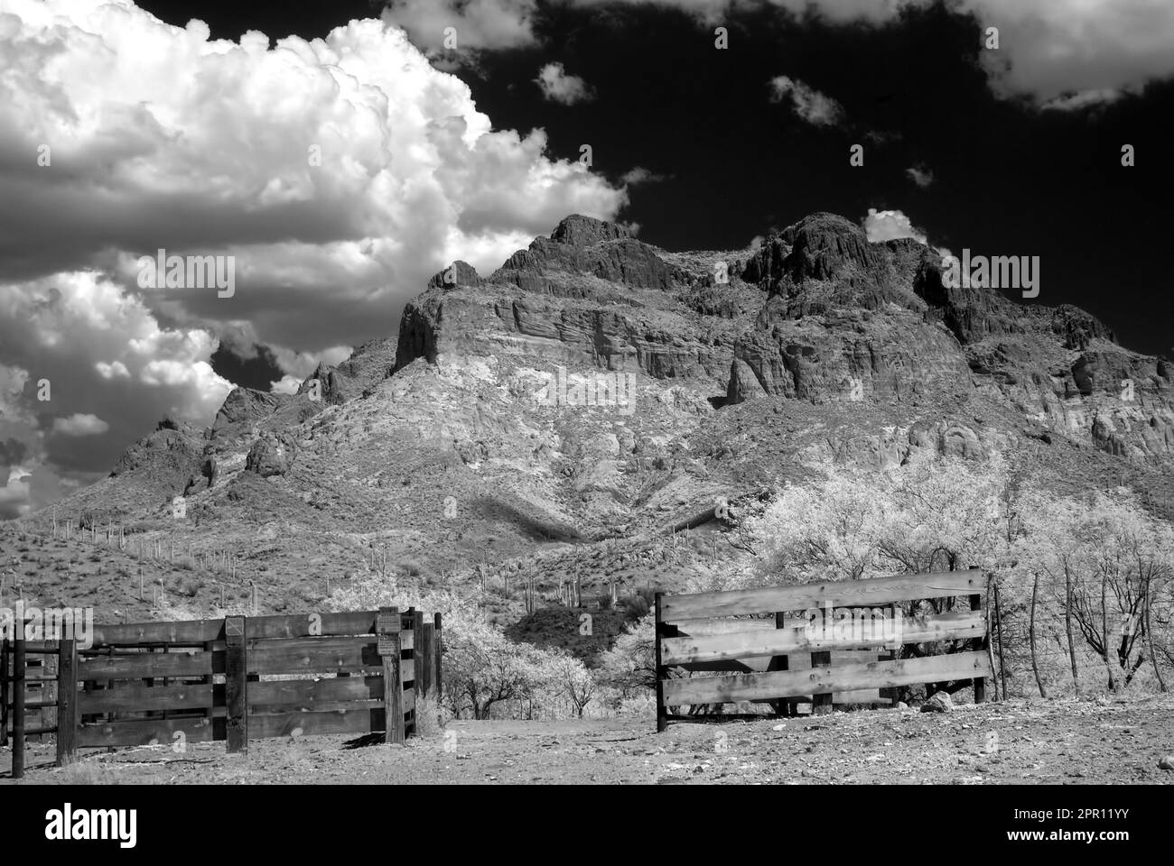 Corral in der Sonora-Wüste im Zentrum von Arizona, USA Stockfoto