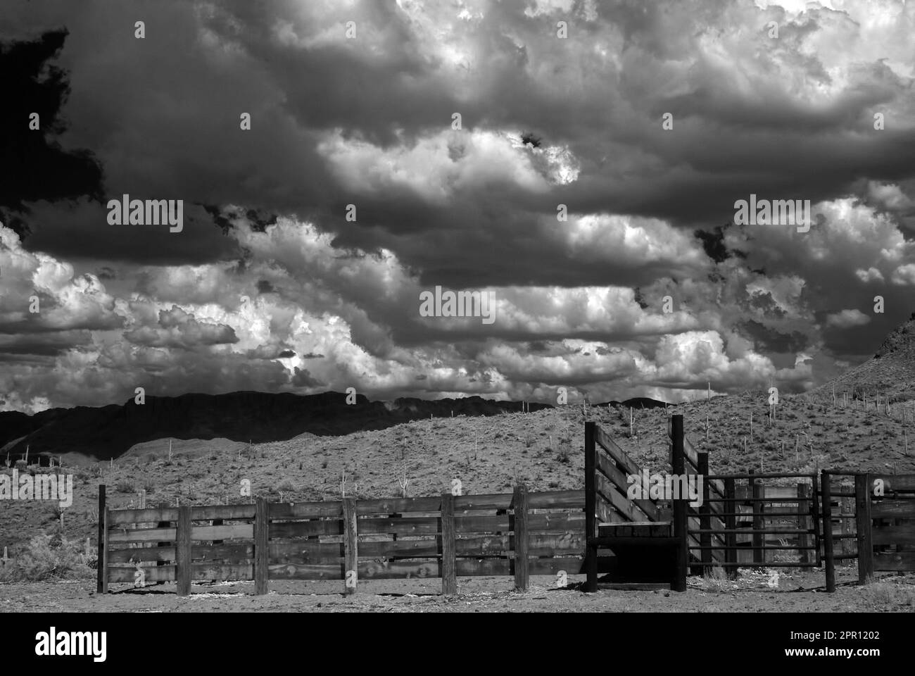 Corral in der Sonora-Wüste im Zentrum von Arizona, USA Stockfoto