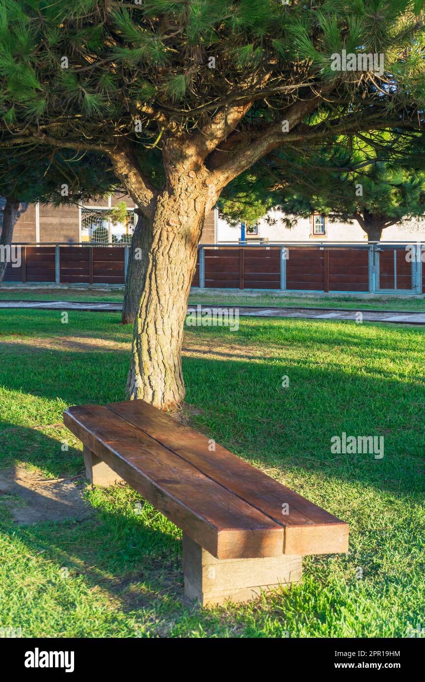 Holzbank im park Stockfoto