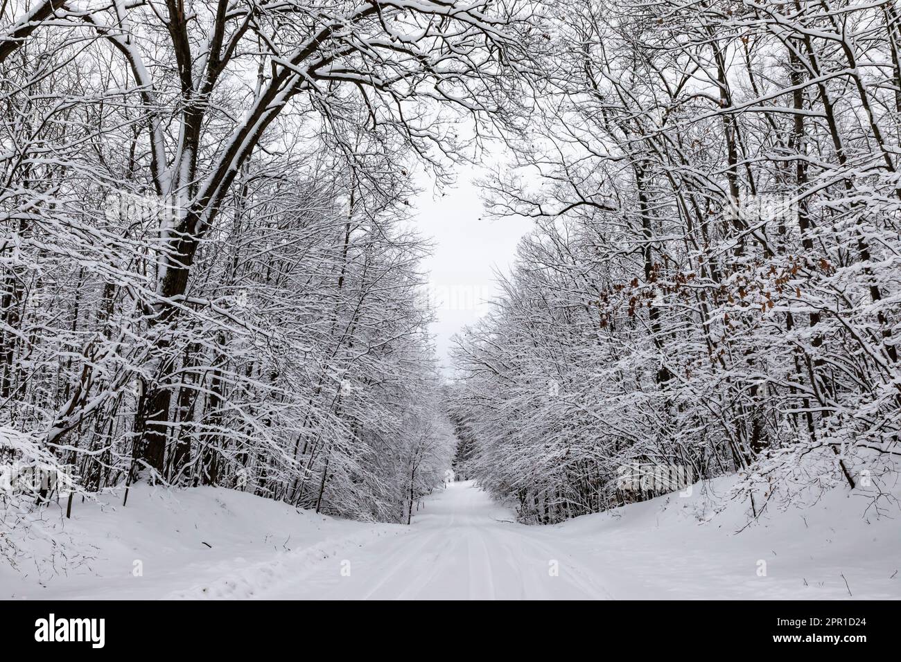 Schneebedeckte Landstraße im Zentrum von Michigan, USA Stockfoto