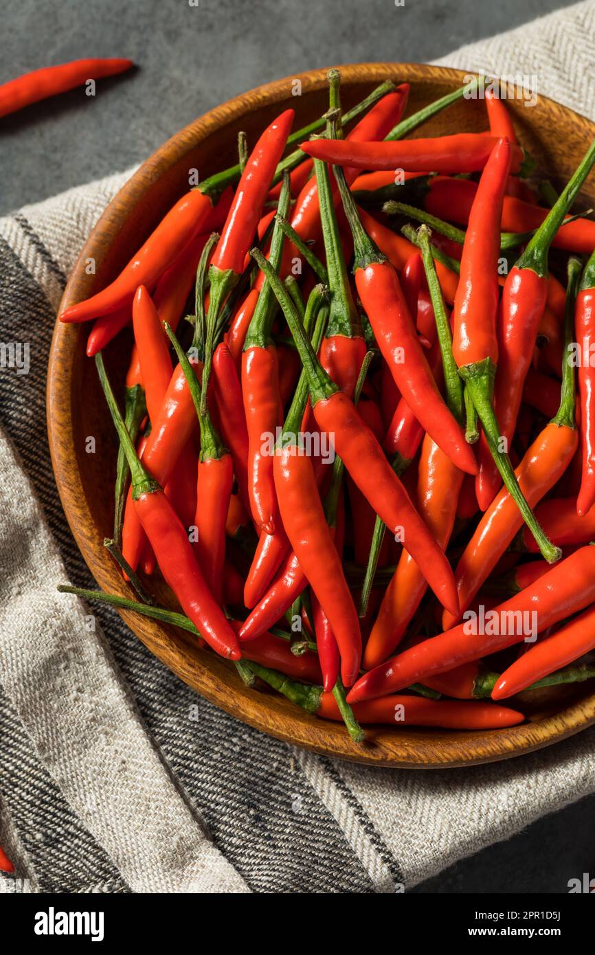 Scharfe, organische Chili-Paprika mit roten thailändischen Vogelaugen in einer Schüssel Stockfoto
