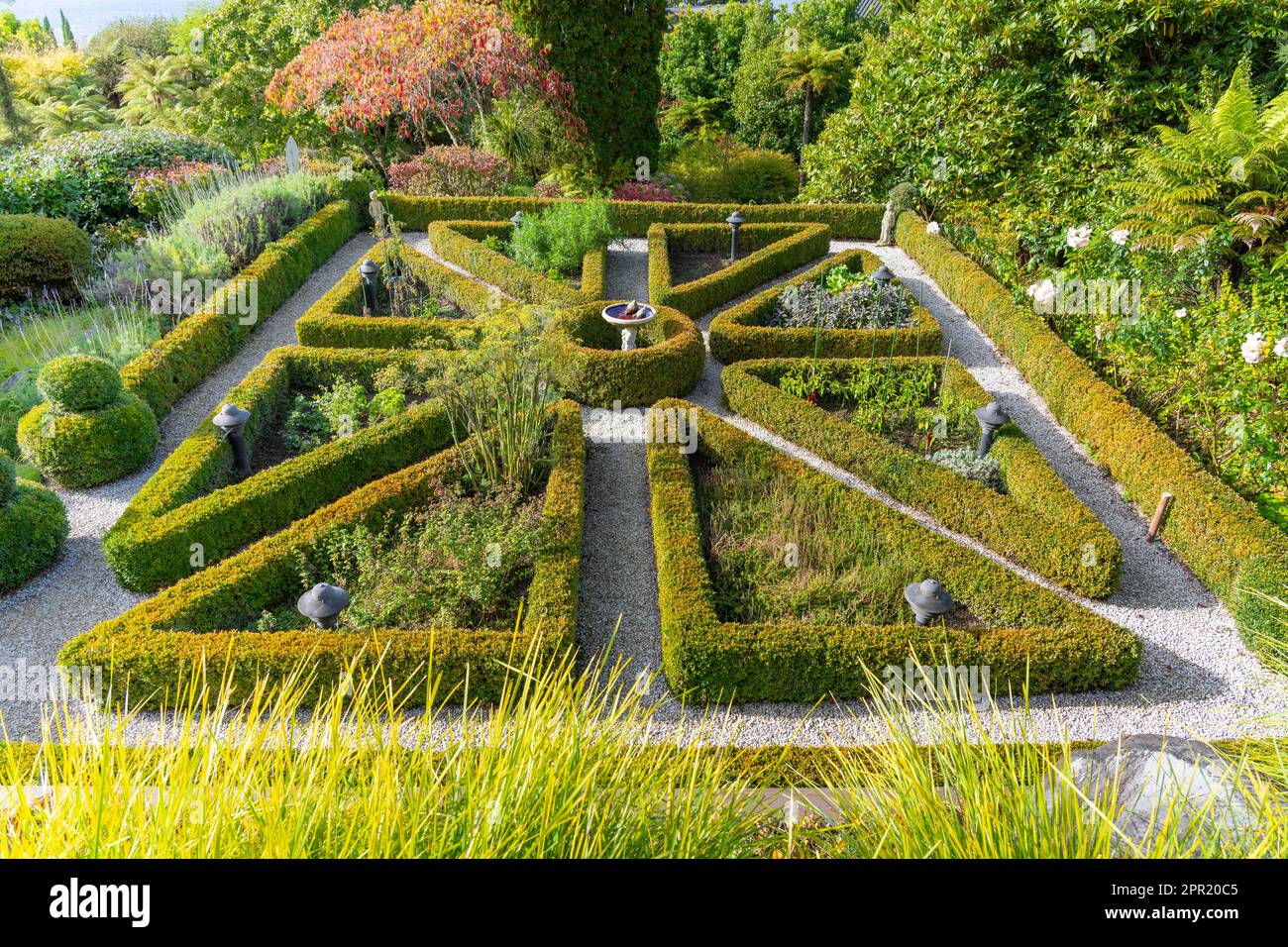 Landschaftsdesign gepflegte Box Hecke Garten dreieckige Anordnung rund um Kräutergärten. Stockfoto