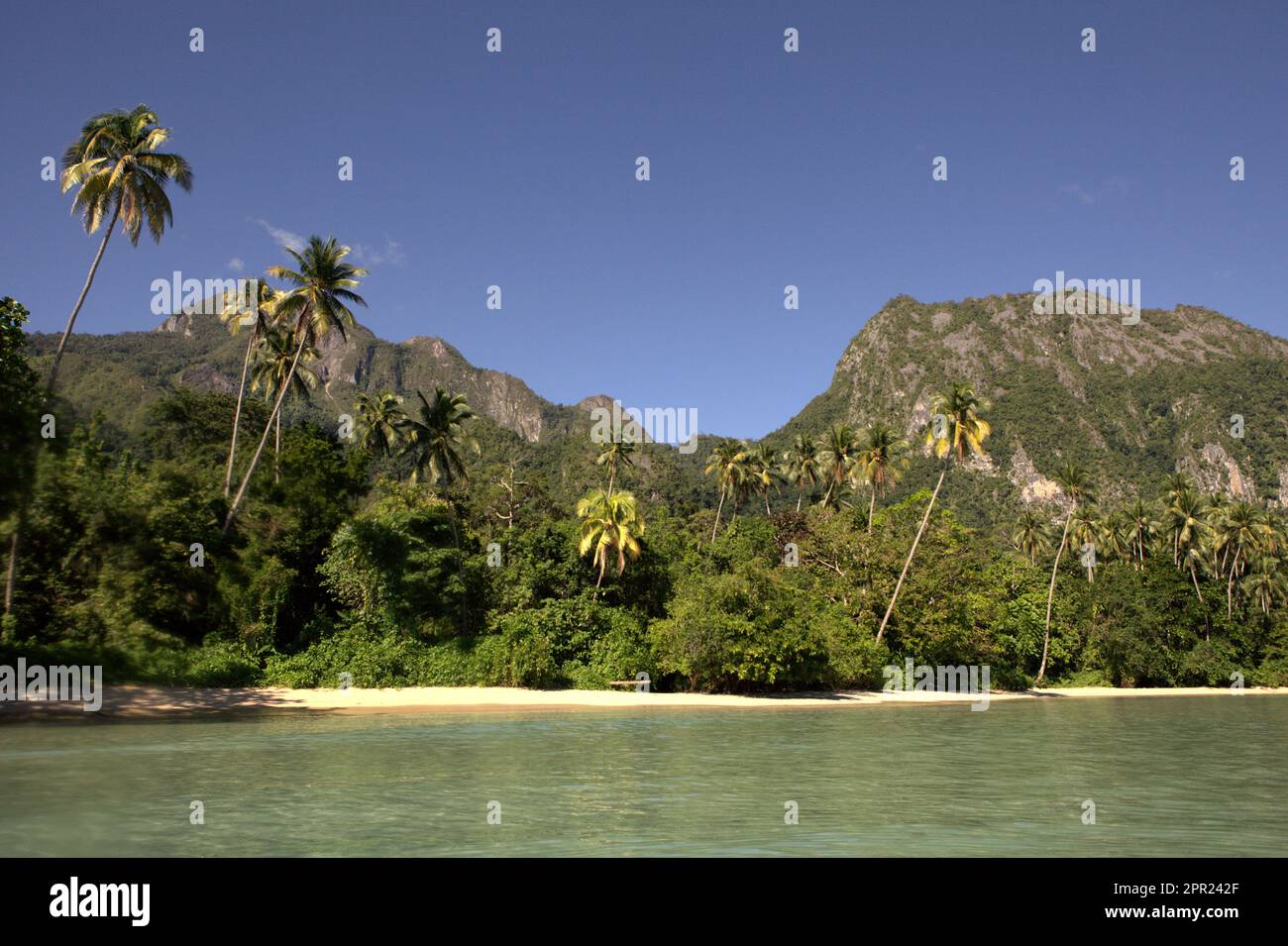 Landschaft eines Sandstrands und Landschaft des nördlichen Teils der Insel Seram; fotografiert in Saleman, North Seram, Central Maluku, Maluku, Indonesien. Stockfoto