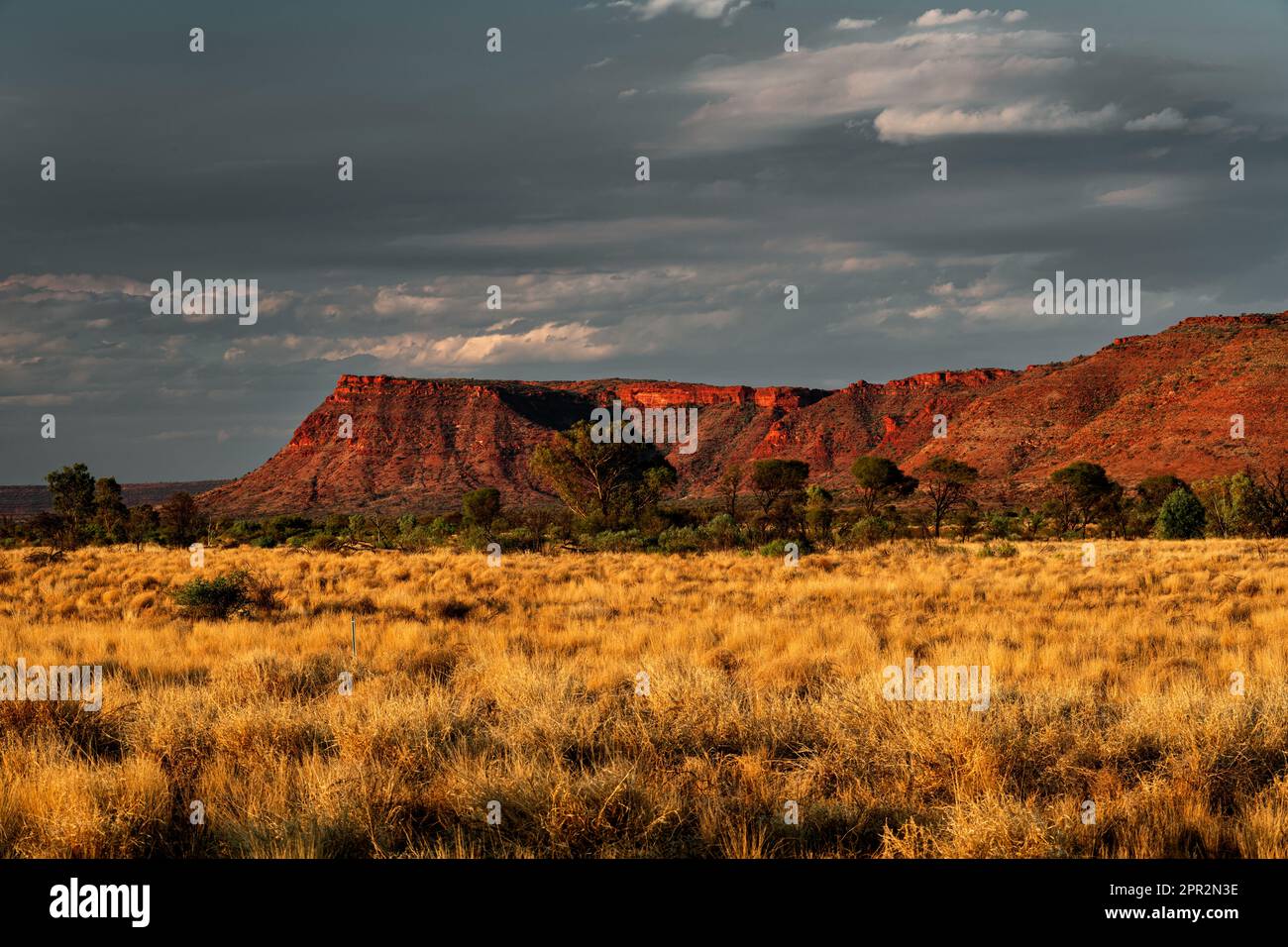 Typische australische Outback-Landschaft mit George Gill Range bei Abendlicht. Stockfoto