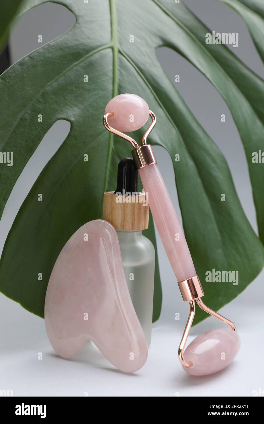Gua-Sha-Stein, Gesichtsrolle, Flasche Serum und Monstera-Blatt auf hellem Hintergrund Stockfoto