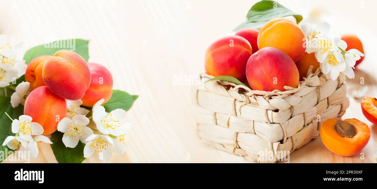 Frische Aprikosen mit Blättern und Blumen in einem Korb auf Holzhintergrund Stockfoto