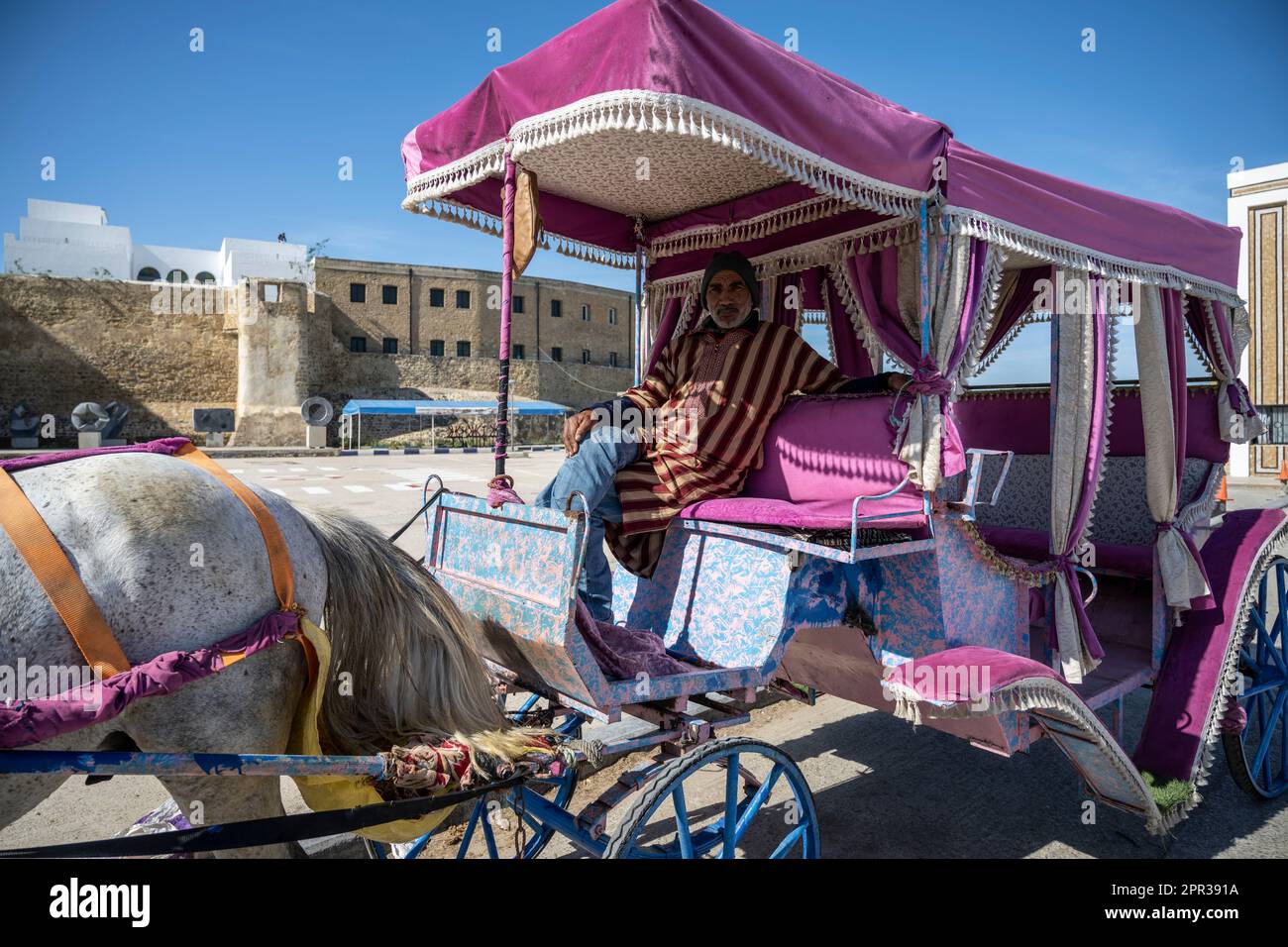 Besitzer einer Touristenkutsche, die auf die Ankunft von Touristen wartet, um sie durch die Straßen von Asilah zu bringen. Stockfoto