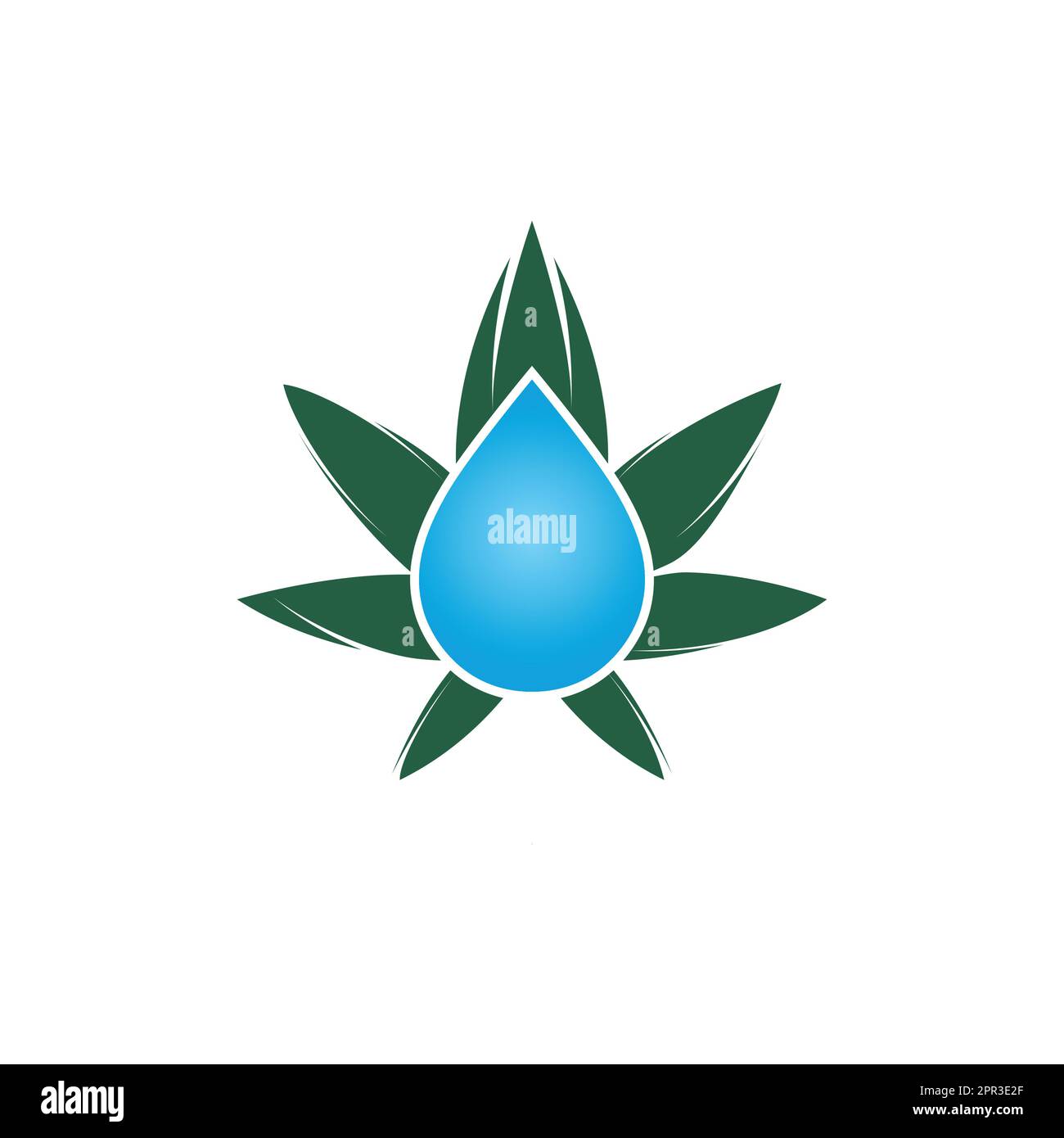 Designsymbol für Cannabisblätter mit Wassertropfen. Cannabisöl-Vektor-Logo-Konzept. Stock Vektor